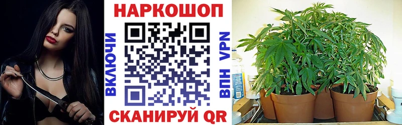 Как найти закладки Каменск-Шахтинский БУТИРАТ  Марихуана  Cocaine  APVP  АМФЕТАМИН 