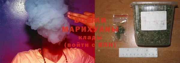 Альфа ПВП Верея