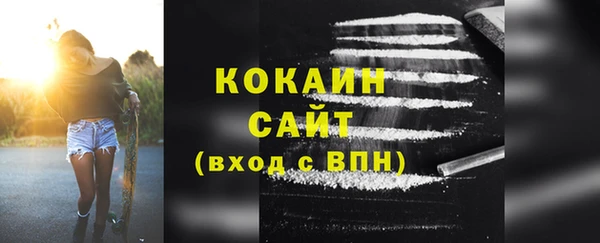 Альфа ПВП Верея