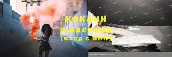 Альфа ПВП Верея