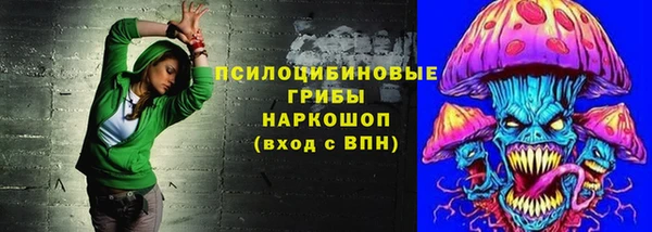 Альфа ПВП Верея