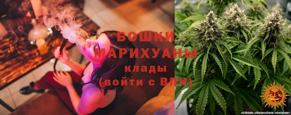 СК Верхний Тагил