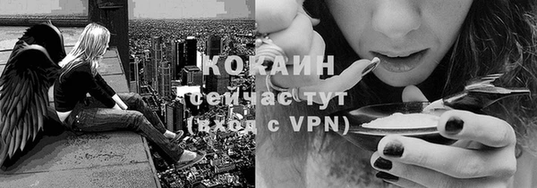крисы Волосово