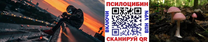продажа наркотиков  Каменск-Шахтинский  Галлюциногенные грибы мухоморы 